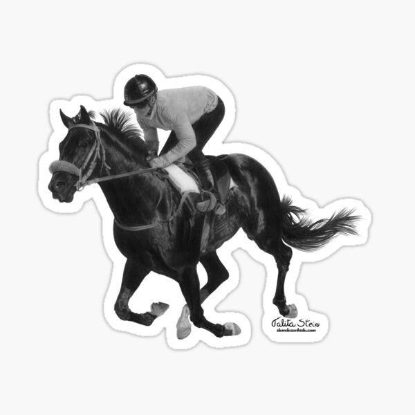 Race horse Sticker