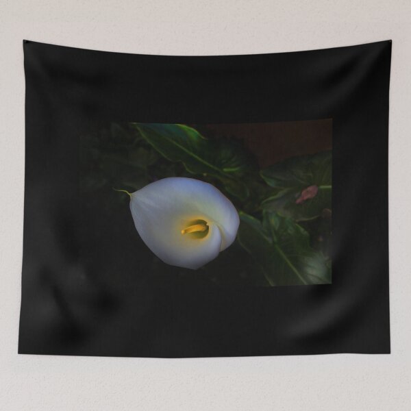 Item preview, Nighty Night Calla designed and sold by alabca.