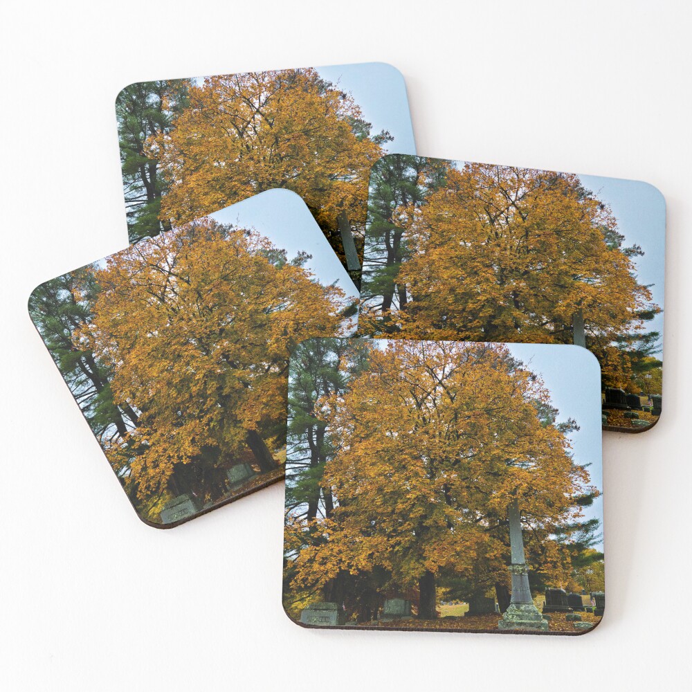 Item preview, Coasters (Set of 4) designed and sold by RazeKrieger.