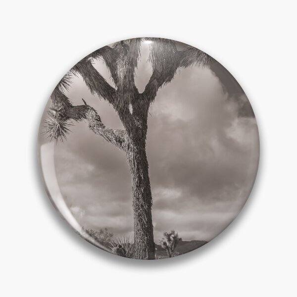 Item preview, Joshua Tree monochrome designed and sold by jvnimages.