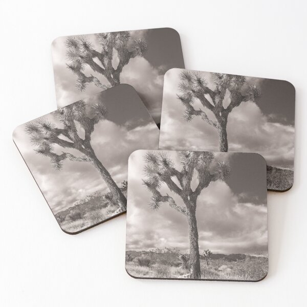 Item preview, Joshua Tree monochrome designed and sold by jvnimages.