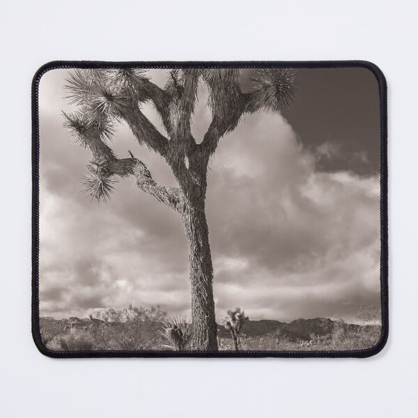 Item preview, Joshua Tree monochrome designed and sold by jvnimages.