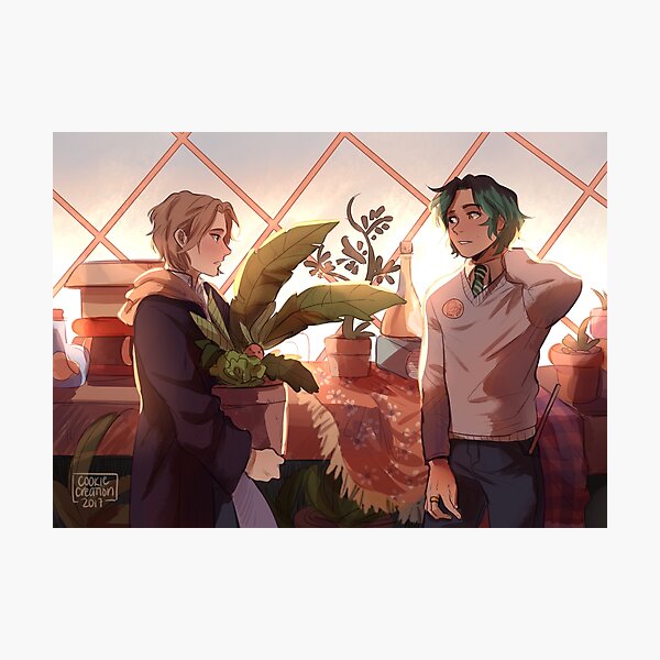 AU Photographic Print
