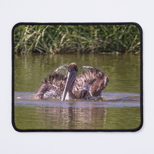 Item preview, Brown Pelican Shaking Off Water After A Dive designed and sold by CarolM.
