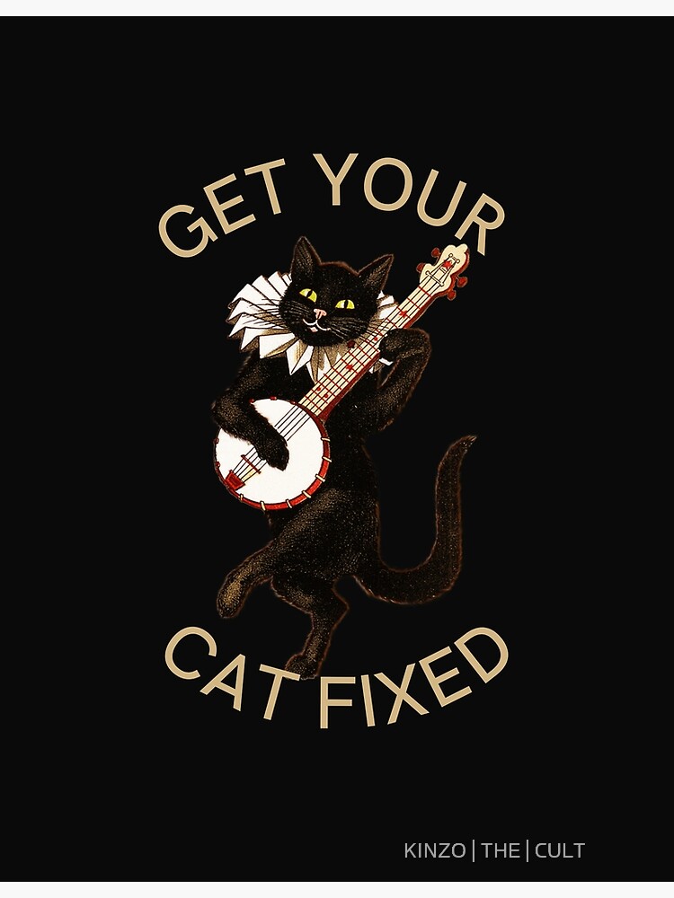 get-your-cat-fixed-naughty-cat-poster-for-sale-by-kinzo09-redbubble