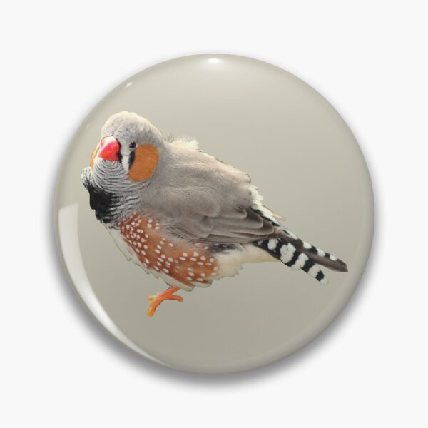 Item preview, Zebra Finch Bird designed and sold by RainbowSpinkle.