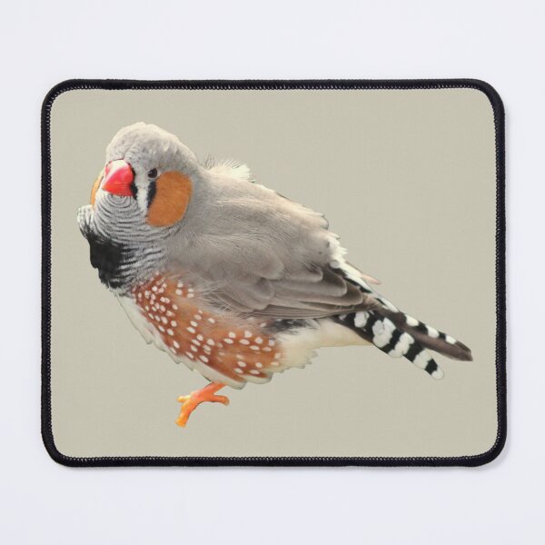 Item preview, Zebra Finch Bird designed and sold by RainbowSpinkle.
