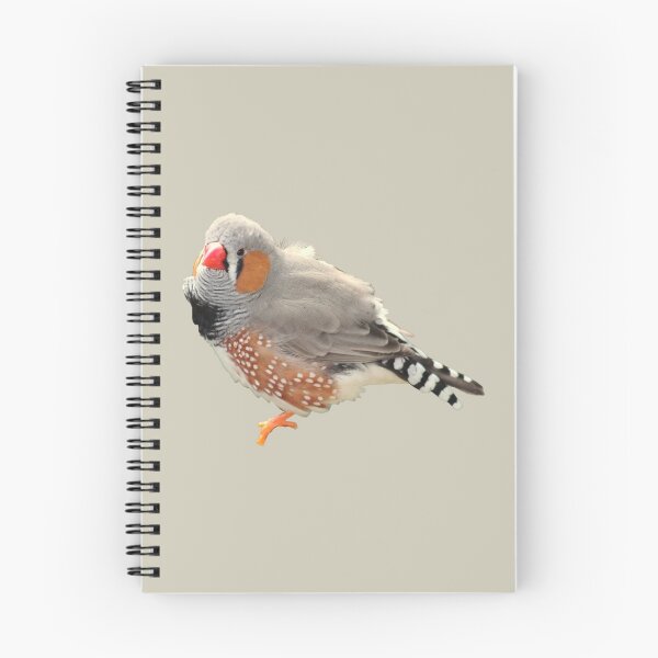 Item preview, Zebra Finch Bird designed and sold by RainbowSpinkle.