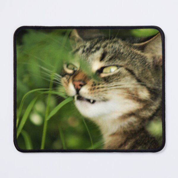 Item preview, tabby cat designed and sold by Francespoppy.