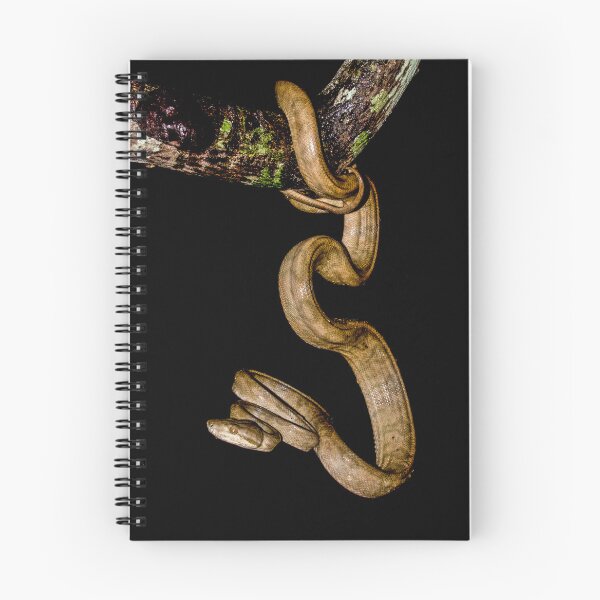 Artikelvorschau, Amazonas-Baumboa entworfen und verkauft von MarceloSena.