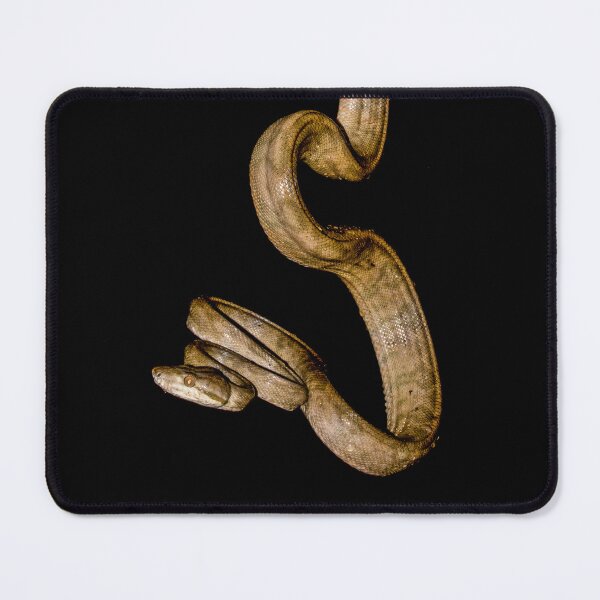 Item preview, Amazon tree boa designed and sold by MarceloSena.