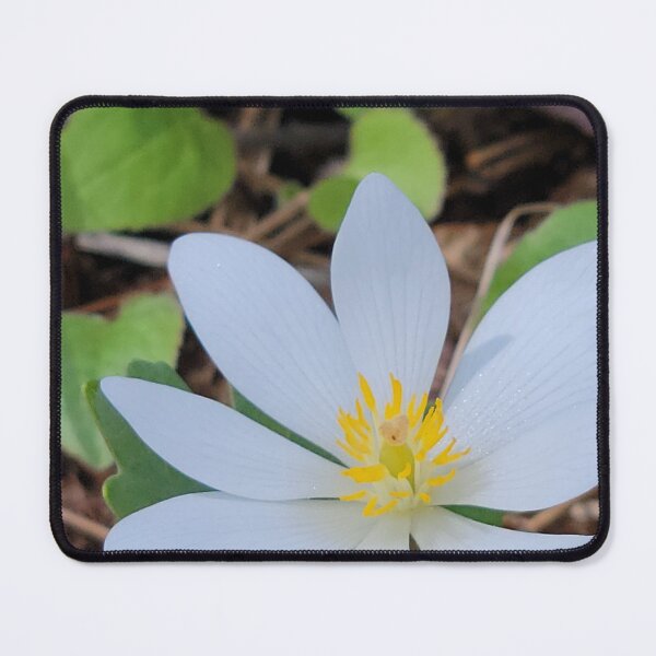 Item preview, In the Spring designed and sold by Ithi-Arts.