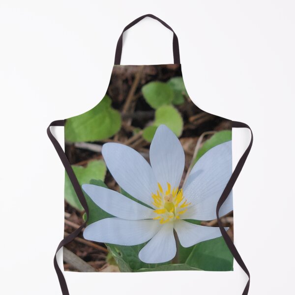 Item preview, In the Spring designed and sold by Ithi-Arts.