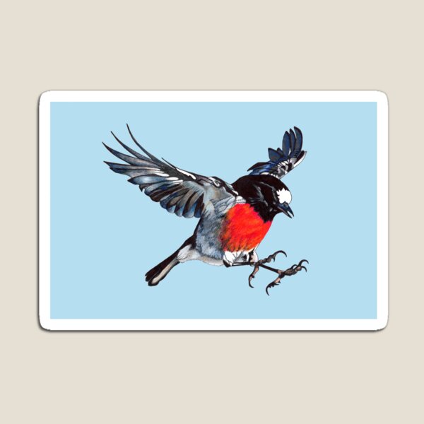 Artikelvorschau, Mr Scarlet Robin im Flug mit Krallen auf blauem Hintergrund entworfen und verkauft von DingbatDesigns.