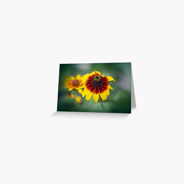 GLORIOSA DAISY Greeting Card