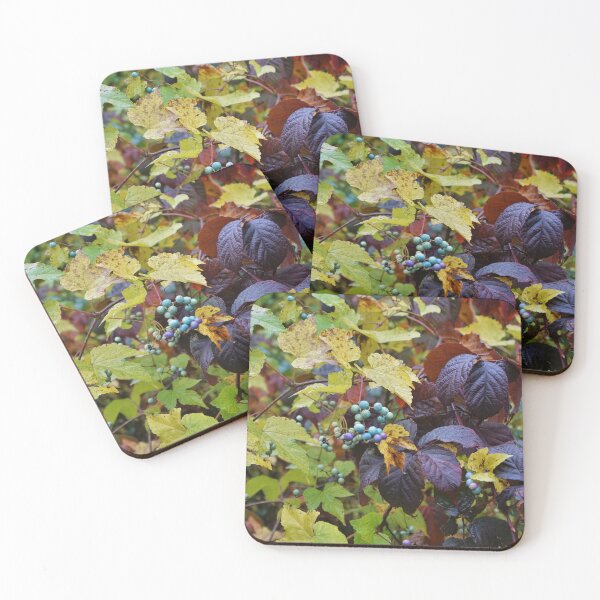 Aperçu de l'œuvre Baies de porcelaine + Feuilles d'automne créée et vendue par clizzio.