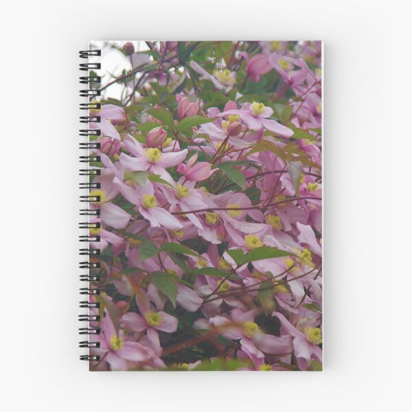 Item preview, Clematis Montana designed and sold by lezvee.