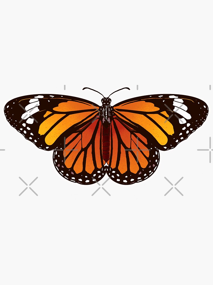 Orange Monarch Butterfly Sticker For Sale By Bees Illustrate Redbubble