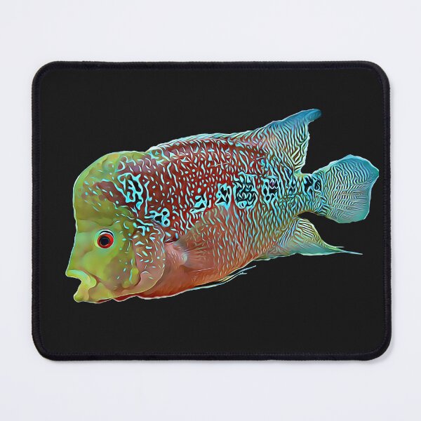 Item preview, Flowerhorn Cichlid Frshwater aquarium fish designed and sold by AngryOcean.