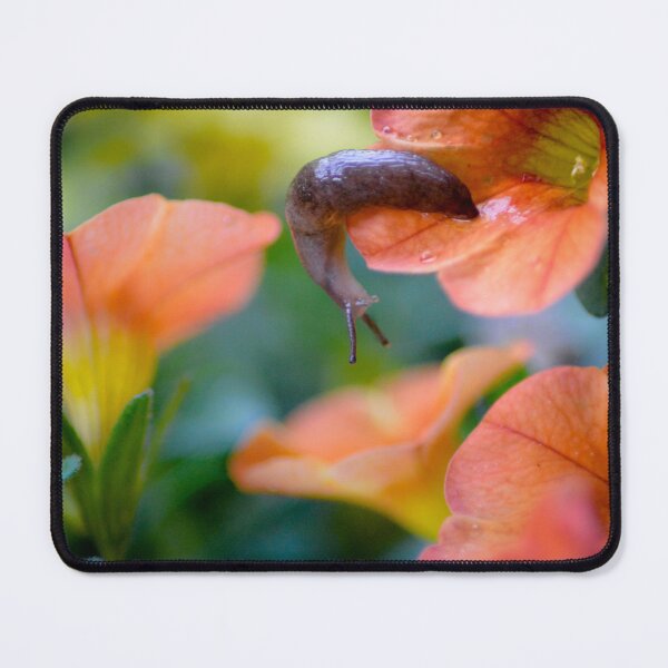 Item preview, A Slug Named Clyde designed and sold by depictionly.