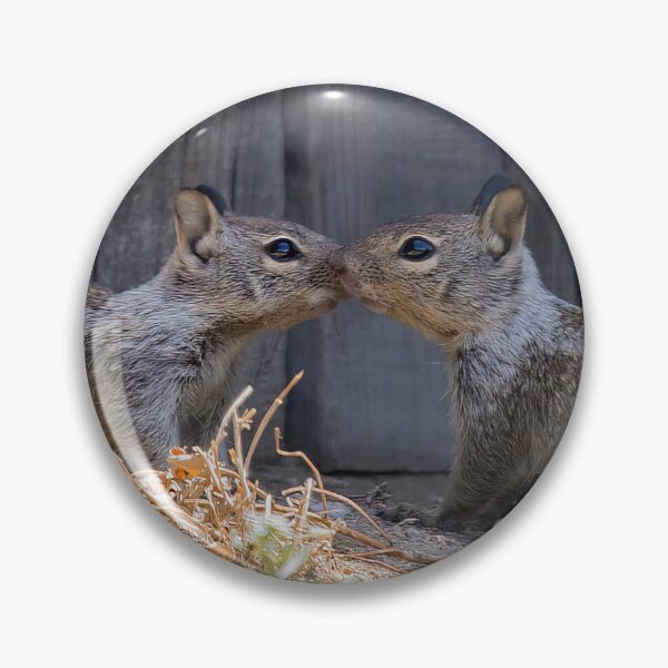 Item preview, Squirrel Sibling Love designed and sold by CarolM.