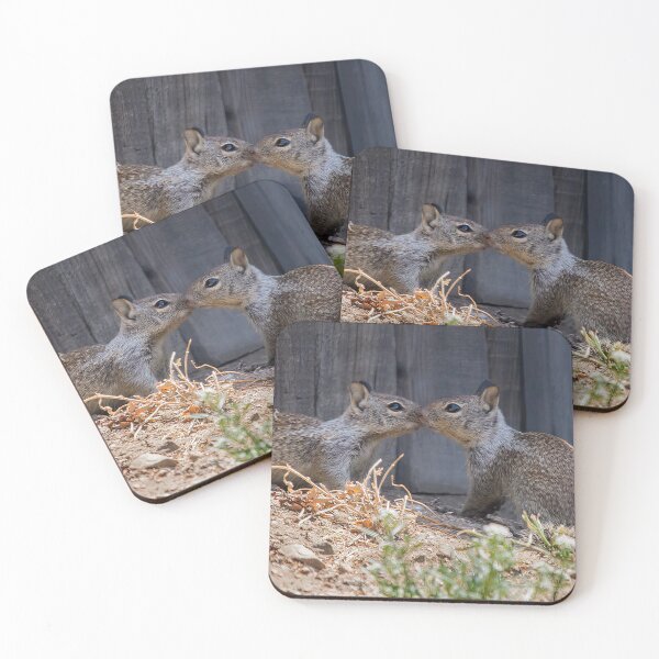 Item preview, Squirrel Sibling Love designed and sold by CarolM.
