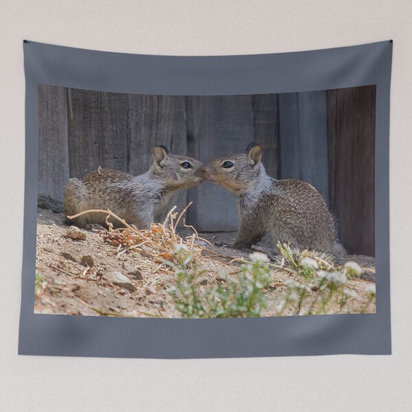 Item preview, Squirrel Sibling Love designed and sold by CarolM.