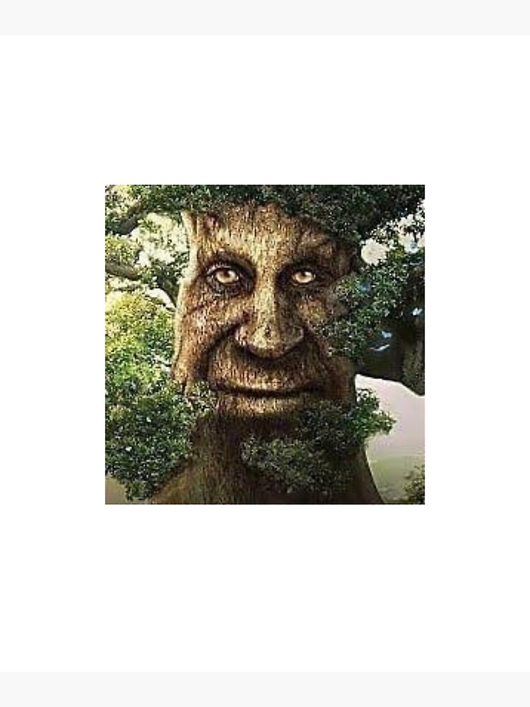 wise mystical tree laughing meme｜TikTok Search