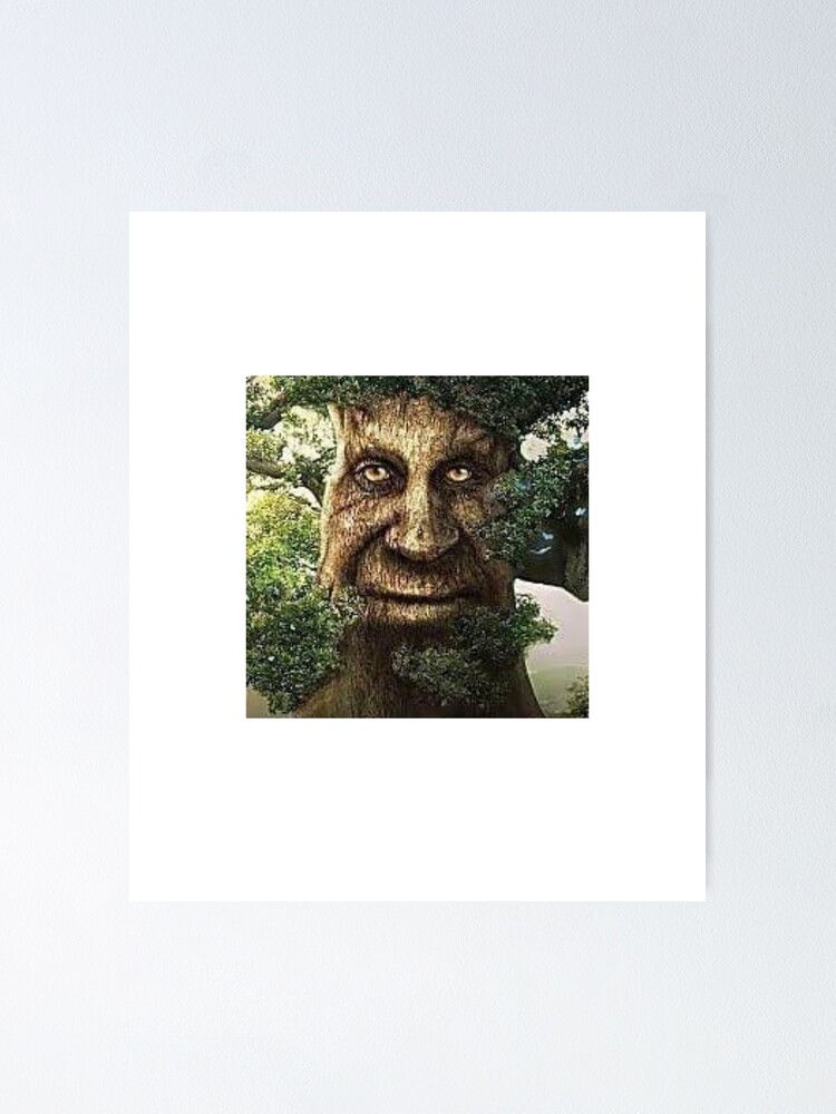 What is the old mystical tree face meme? Where did it come from?