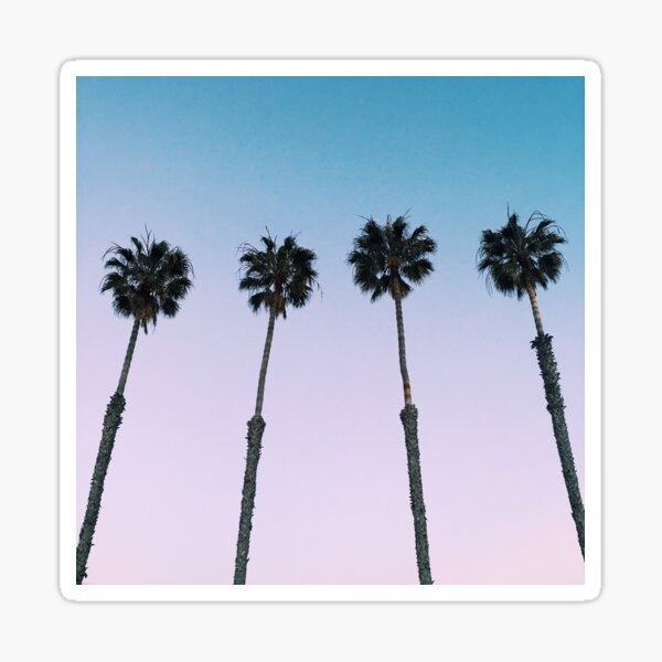 California Palm Tree Sunset Sticker For Sale By Alexandrastr Redbubble