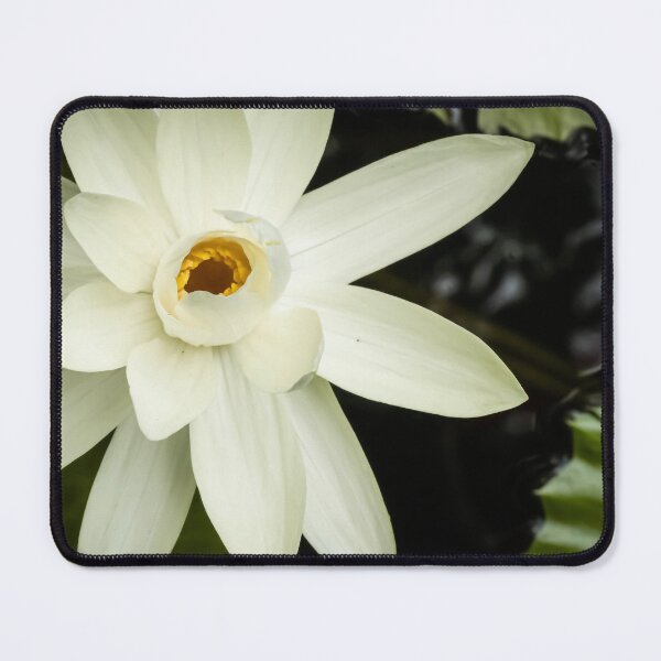Item preview, Art floral Digital Designs, the Arts of flowers in Atlanta, Georgia. designed and sold by PhotoCreationXP.