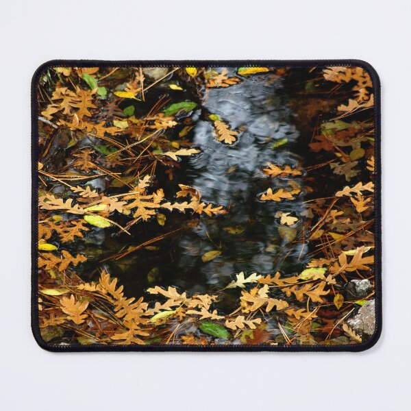 Artikelvorschau, Autumn Leaves entworfen und verkauft von Vicki Pelham.