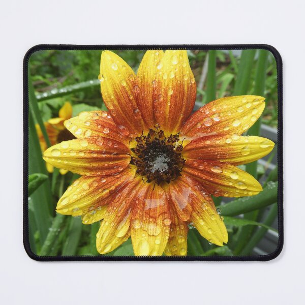 Item preview, Sunflower designed and sold by indiafrankk.