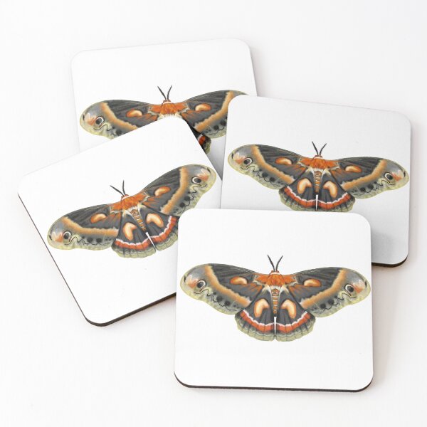 Item preview, Cecropia Moth designed and sold by Katie Morris Art.