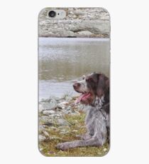 german wirehaired pointer laying iPhone Case
