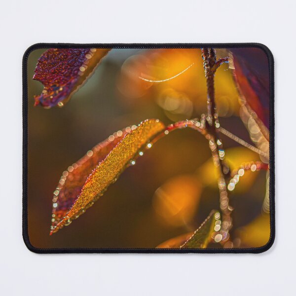 Item preview, Autumn leaves 7 designed and sold by Veikko  Suikkanen.