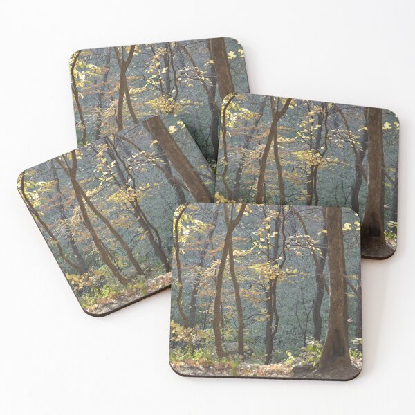 Item preview, Forest with a fading sunlight designed and sold by Tea vee.