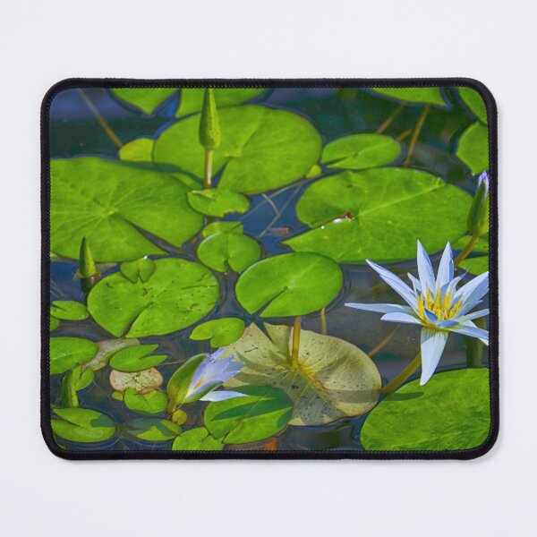 Item preview, Amazon Waterlily designed and sold by Robert Sturman.