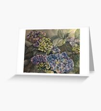 hydrangeas Greeting Card
