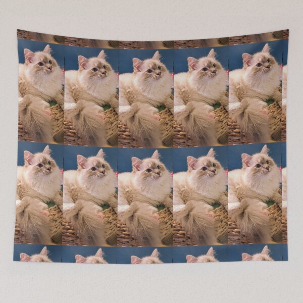 Item preview, Lynx ragdoll fluffy kitten  designed and sold by Fluffycat2020.