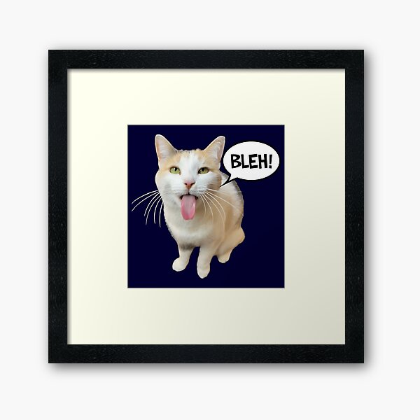 Beluga Cat Meme Face Smiling Canvas Print for Sale by fomodesigns