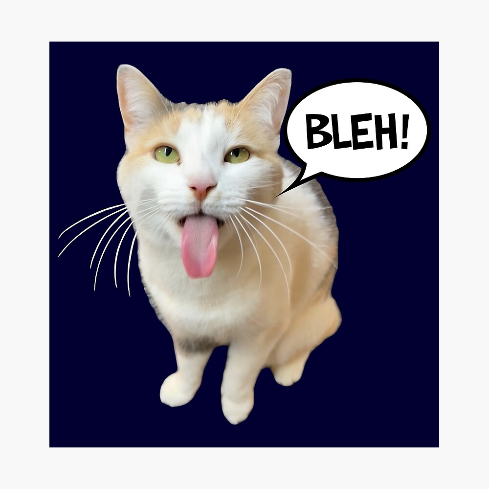 Bleh P Cat Meme (Not Doing That Cat) Kids T-Shirt for Sale by fomodesigns