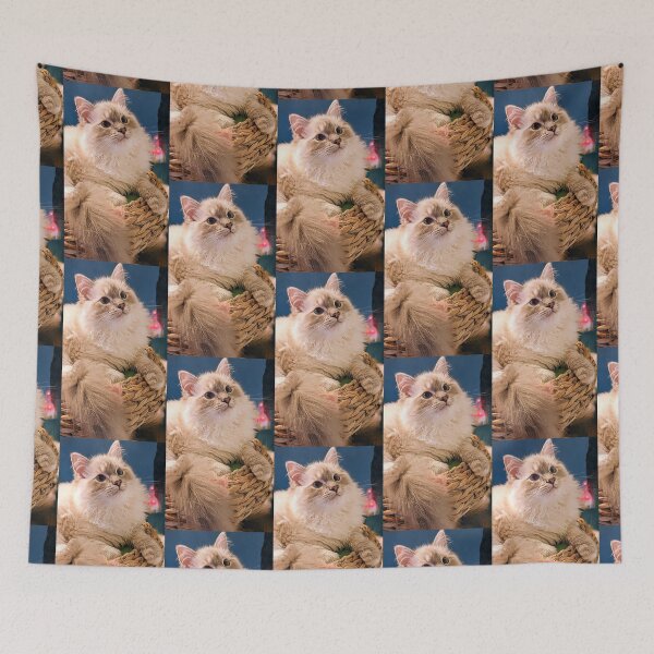 Item preview, Lynx ragdoll fluffy kitten  designed and sold by Fluffycat2020.