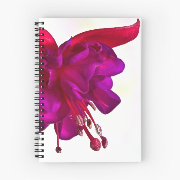 Item preview, Fuschia Blossom Macro  designed and sold by Sandra Foster.