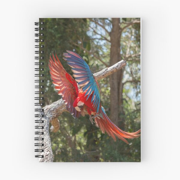 Item preview, A Jewel In Flight designed and sold by Jade Welch.