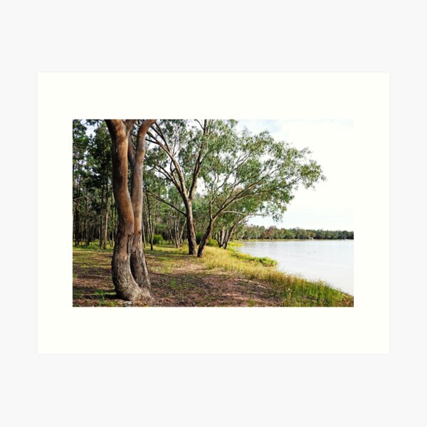 Item preview, Yarrie Lake designed and sold by NarrabriCards.