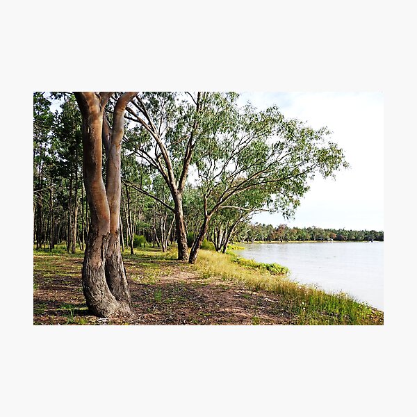 Item preview, Yarrie Lake designed and sold by NarrabriCards.