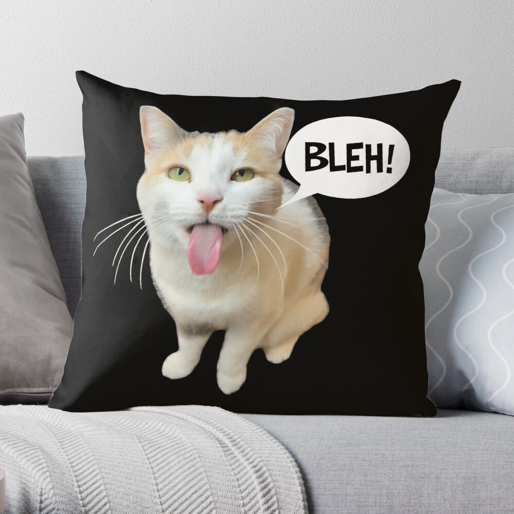 Blasphemy, Yes, But It Was Funny Throw Pillow