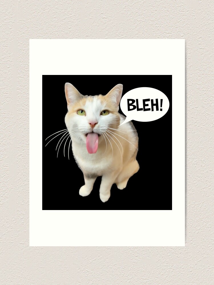 Meme cat funny face | Art Board Print