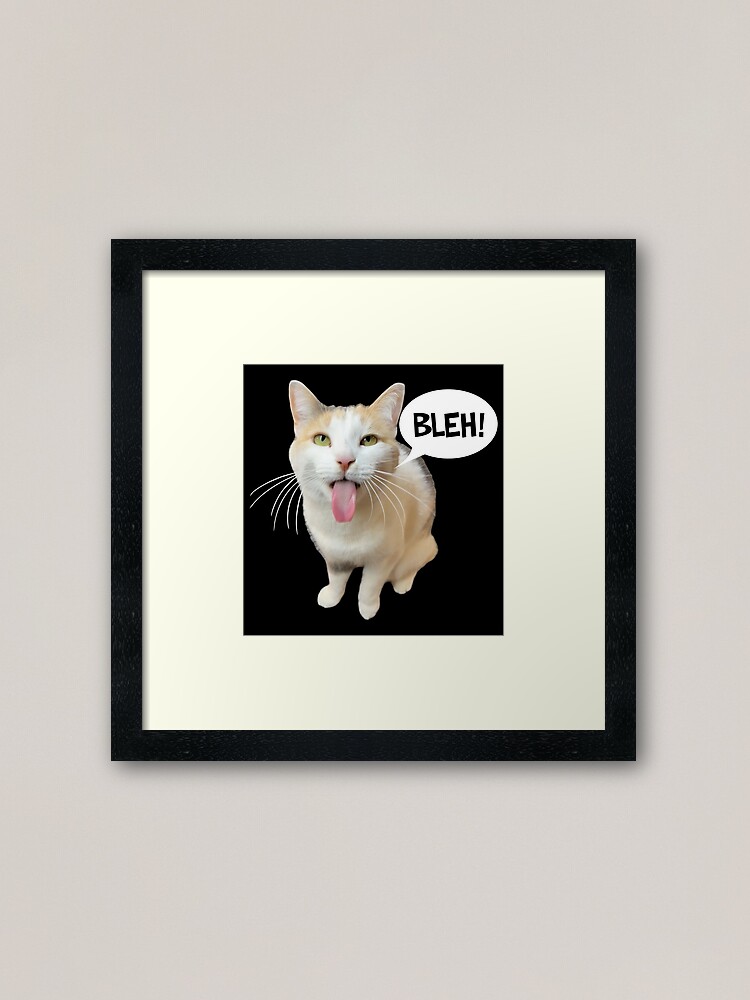 cat meme face, funny cat Photographic Print for Sale by jassine11